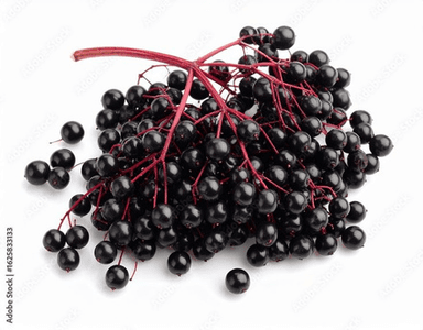 Elderberry Extract icon